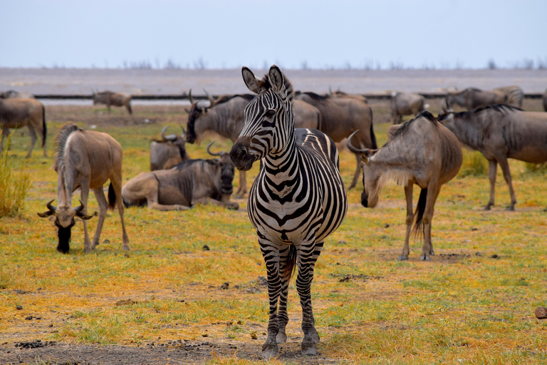 Viaggio di due giorni al Lago Manyara con canoa e passerella tra le cime degli alberiCampeggio a Karatu