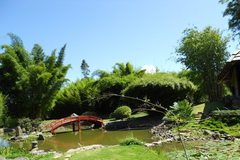 Cartago : Une sélection unique des merveilles de Cartago