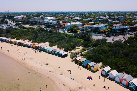 Melbourne: Coastal View &amp; Phillip Isand Penguin Parade Tour