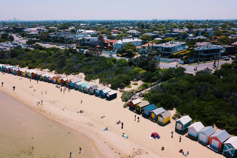 Melbourne: Vista sulla costa e tour della parata dei pinguini di Phillip Isand