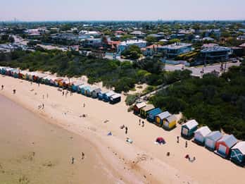 Melbourne: Coastal View & Phillip Isand Penguin Parade Tour