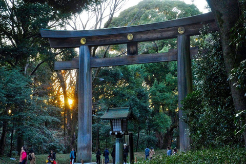 Tokyo avslöjat: En lyxig dag med tradition och teknikTokyo avslöjat: En lyxig dag med tradition och teknik - 7-sitsig