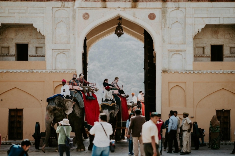 Desde Delhi: Excursión de un día guiada privada a Jaipur con trasladosTour privado con coche, conductor, guía y tickets de entrada