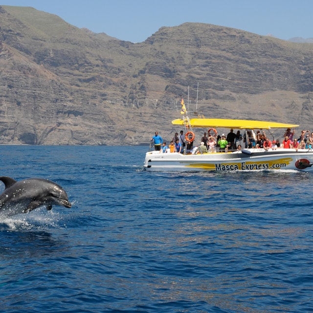 Los Gigantes: Dolphin & Whale Watching Cruise with Swim Stop
