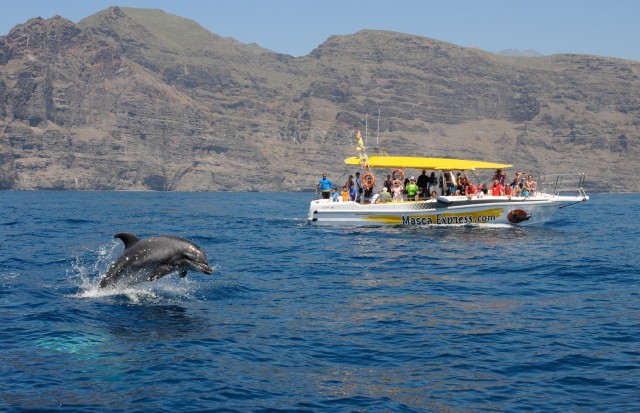 Visit Los Gigantes Dolphin & Whale Watching Cruise with Swimming in Playa de las Américas, Tenerife, Spain