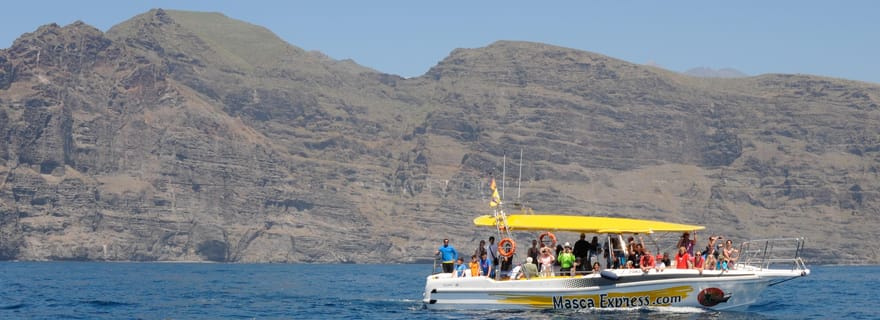 Los Gigantes : Croisière d'observation des baleines et des dauphins avec arrêt baignade