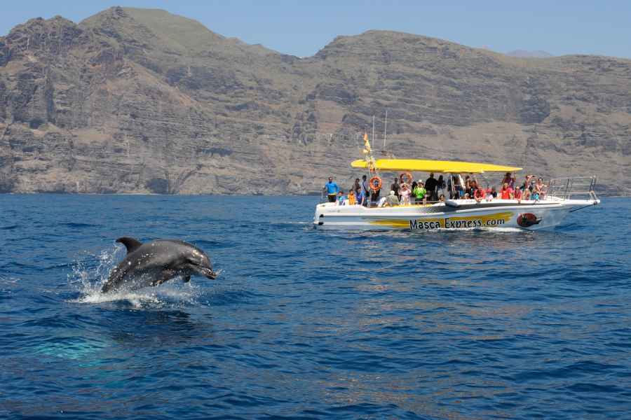 Los Gigantes: Delfin- & Whale-Watching-Bootsfahrt mit Schwimmen