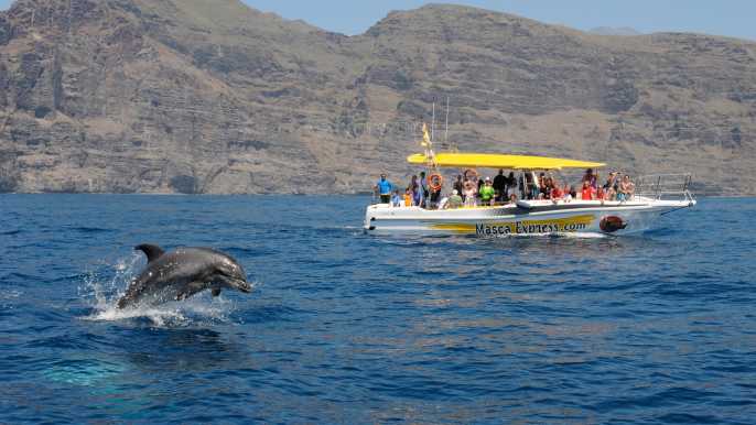 Los Gigantes: Tour de avistamiento de ballenas y delfines a nado