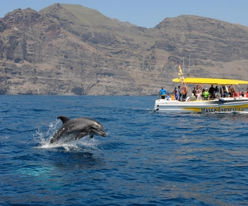 Los Gigantes: Dolphin & Whale Watching Cruise with Swim Stop