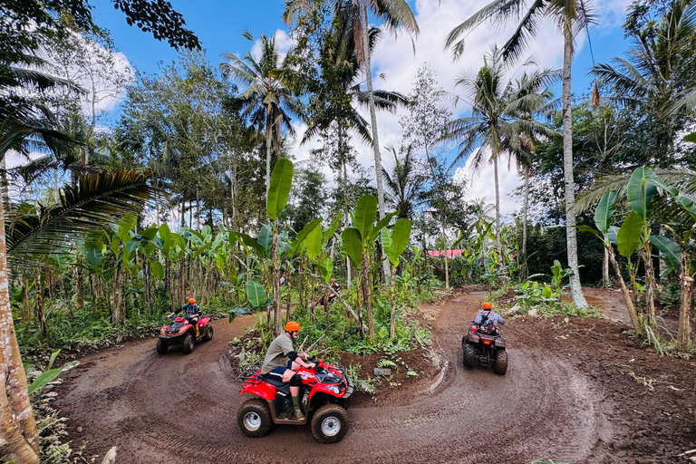 Ubud: Gorilla Face-quad, jungleschommel, waterval en maaltijdTandemrit met Bali Transfers