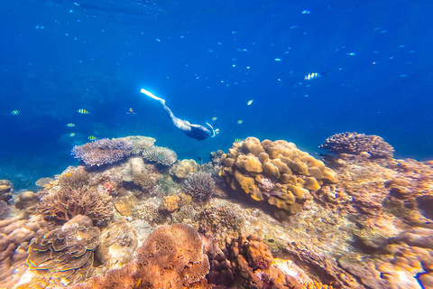 Phuket or Khaolak: Surin Islands 1 or 2-day Snorkeling Tour From Khaolak: Surin Islands 2-day Snorkeling Tour
