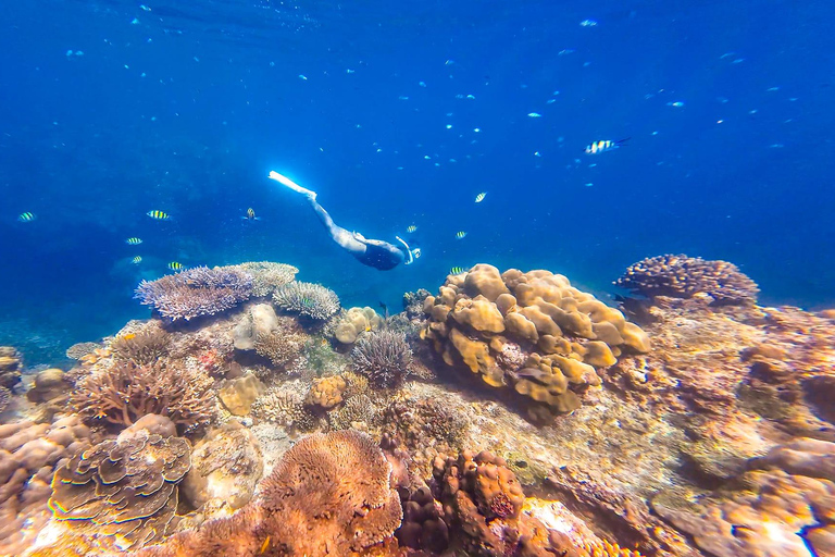 Phuket or Khaolak: Surin Islands 1 or 2-day Snorkeling Tour From Khaolak: Surin Islands 2-day Snorkeling Tour