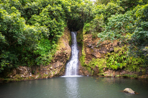Mauritius: Vallé Adventure Park Entry Ticket