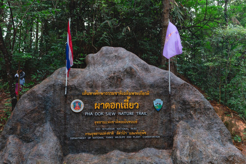 Vandring i Doi Inthanon nationalpark &amp; vandring på Pha Dok Siew Trail