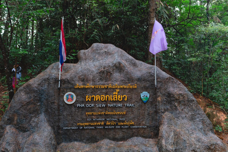 Vandring i Doi Inthanon nationalpark &amp; vandring på Pha Dok Siew Trail