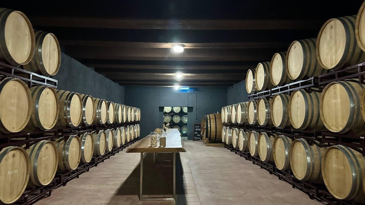 Ab Benidorm: Weingut-Tour und Weinprobe