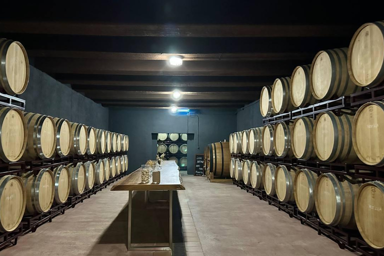 From Alicante ,Benidorm: Winery Tour and Wine Tasting