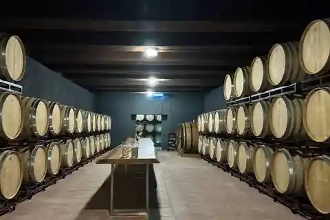 De Alicante a Benidorm: Visita a uma adega e prova de vinhos