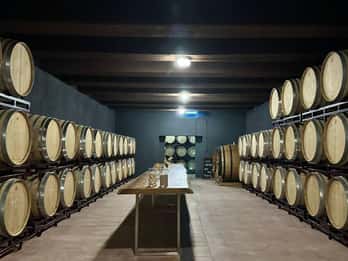 From Alicante ,Benidorm: Winery Tour and Wine Tasting