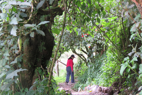 Quito : Excursion d&#039;une journée aux sources thermales de Papallacta et ses environs