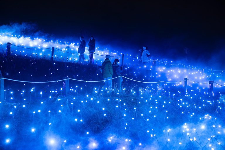Astra Lumina Entry at Currumbin Wildlife Sanctuary