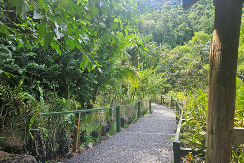 Najlepsze atrakcje Nadi