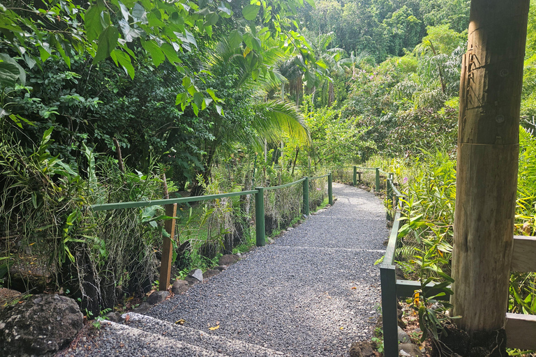 Najlepsze atrakcje Nadi