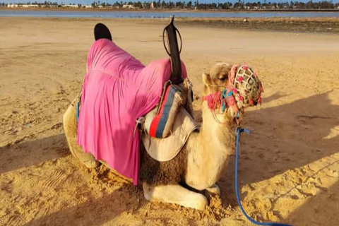 Djerba: Discover the Lagoon and the Countryside by Camel, Horse, or Carriage