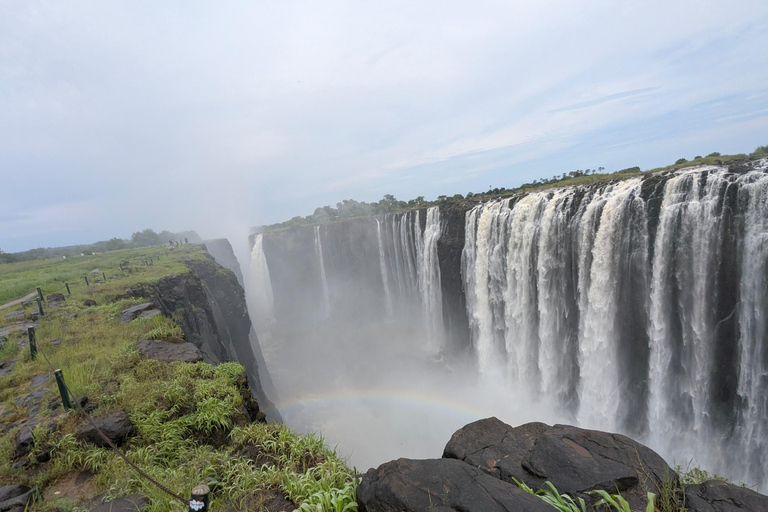 Victoria Falls Guided Tour + Devils or Angel's pool Swimming