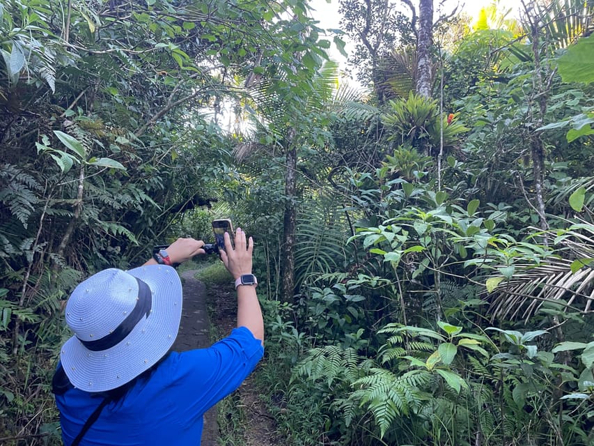 Von San Juan, Puerto Rico in einem Tag private Tour - Hizvo
