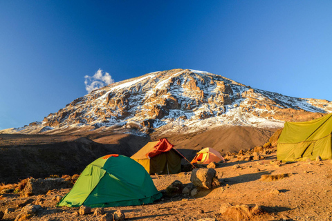 The best 9 days Nothern Circuit Route Kilimanjaro Climbing