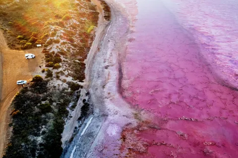 Kalbarri: Excursión por el Lago Rosa y los Acantilados Costeros