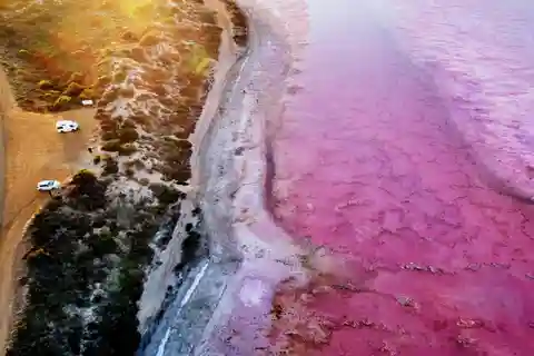 Kalbarri: Excursión por el Lago Rosa y los Acantilados Costeros