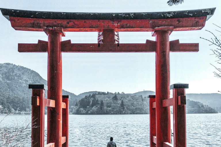 Mount Fuji Full-Day Private Tour from Tokyo (Customizable) Luxury Toyota Crown or SAI