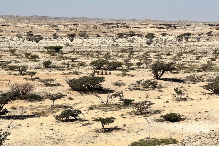 Z Salalah: Pustynne safari w pustej dzielnicy – Rub Al Khali