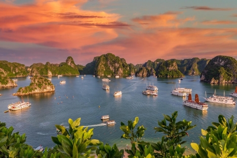 Vanuit Hanoi: tweedaagse cruise in de Bai Tu Long-baaiVan Hanoi: 2-daagse cruise in Bai Tu Long Bay
