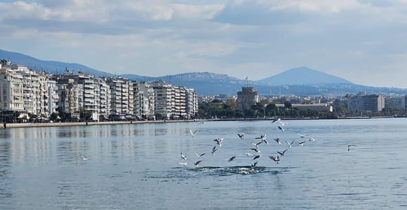 Thessaloniki: City Highlights Guided Walking Tour