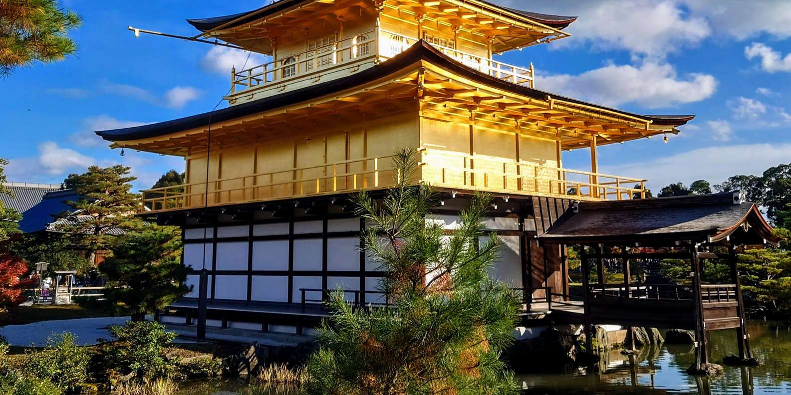 Kyoto experience — temples, geisha, bamboo grove — image 17