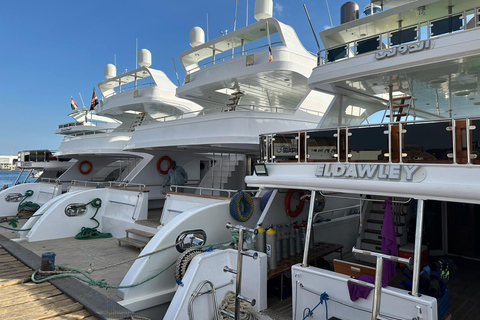 Sharm el-Sheikh: Ras Mohammed & White Island Dive & Snorkel Option 2: Certified Divers - Including Equipment