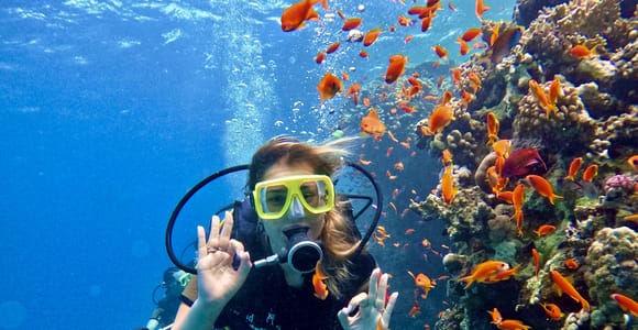 Sharm: Ras Mohammed & White Island Diving & Snorkel w Lunch⁠