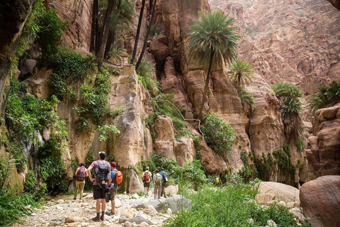 Amman: Dana to Petra 4-Day Trekking Adventure