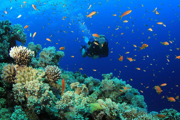From Antalya: Scuba Diving With Lunch and Transfer
