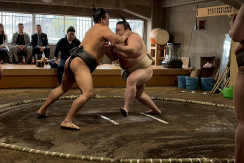 Osaka: Authentic Sumo Morning Practice & Chanko Lunch Authentic Sumo Morning Practice Viewing 【Only viewing】