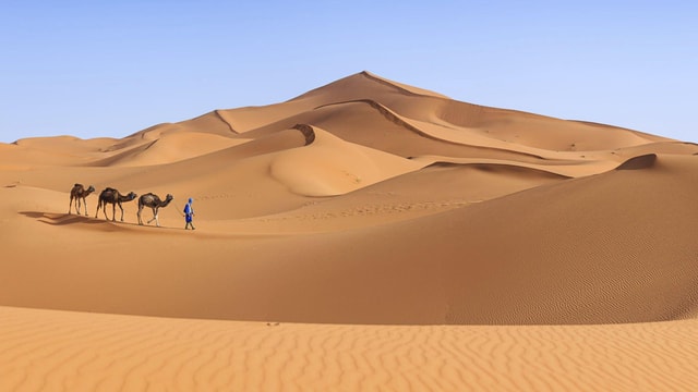 Desert Sahara Sand Dunes with Hotel Transfer