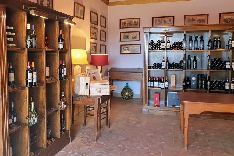 Florence: Horse ride 3h and Wine Tasting&Lunch at a castle