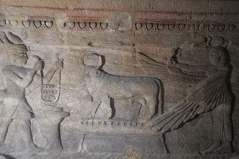 Day tour Visit the top attractions of Alexandria City