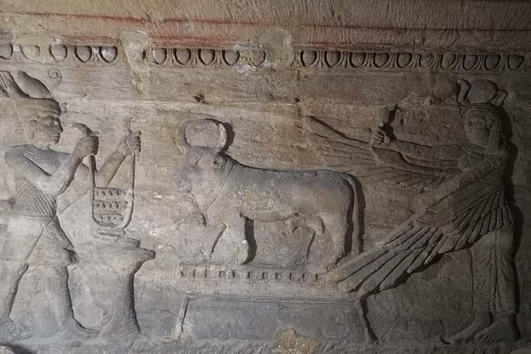 Day tour Visit the top attractions of Alexandria City