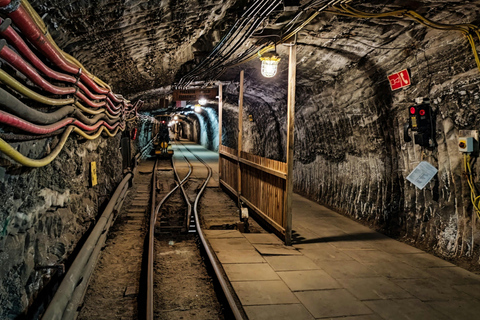 Bucarest : mine de sel de Slanic et visite citadine avec prise en charge à l'hôtelVoyage en minivan