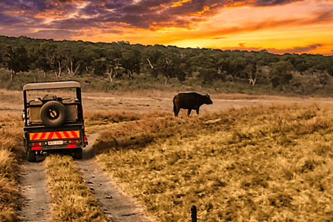 Victoriafälle: Trockene Safari Pirschfahrt im Nationalpark