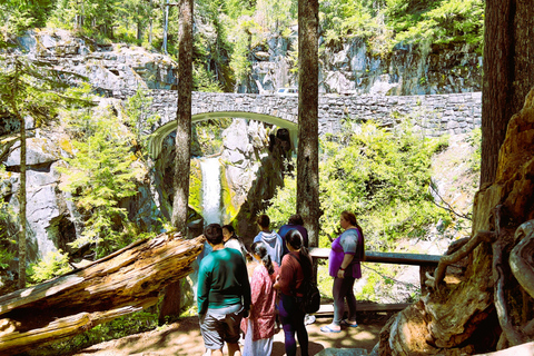 From Seattle: Customized Mount Rainier Tour